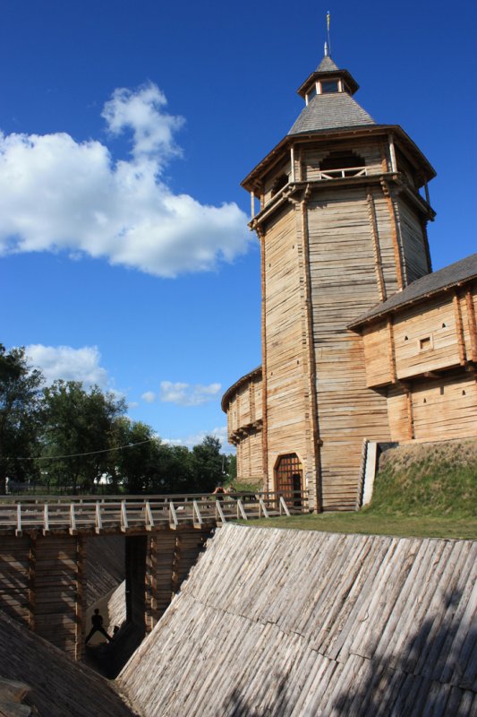 Reconstructed log walls 2